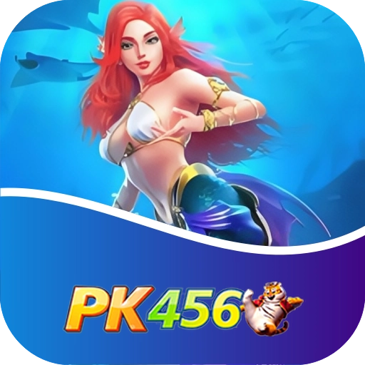 pk456 logo